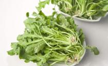春季養生常吃野菜 健康的野菜菜譜推薦