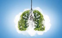 春季養肺有妙招 潤肺養肺食物大盤點