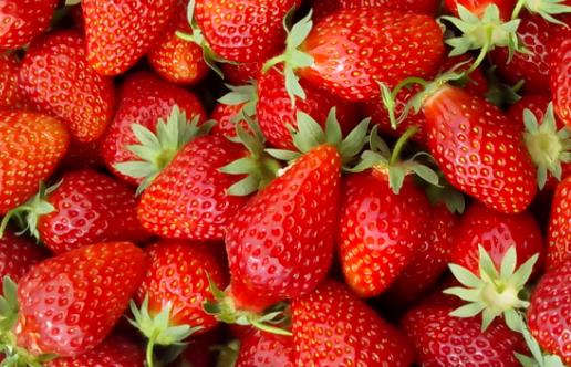 水果最常見的誤區(qū) 最養(yǎng)生的水果大盤點(diǎn)