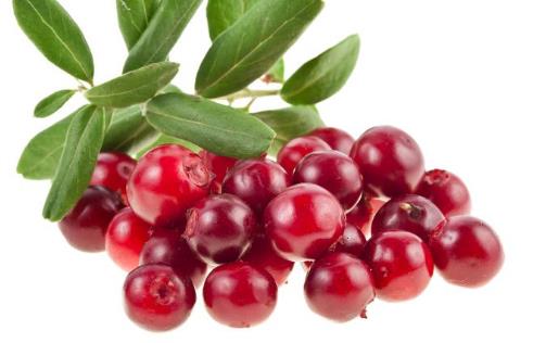 吃了這么久蔓越莓，才知道原來它還有這五大功效，美容養