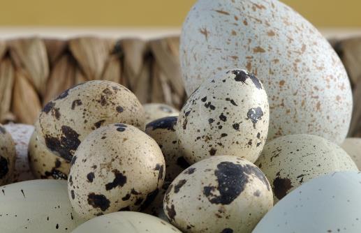 頭發枯燥、脫發怎么辦?醫生:常吃這三物,頭發烏黑柔順