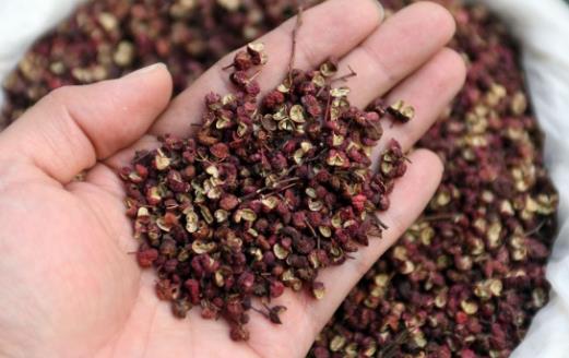 睡覺打鼾害人又害己 食療幫你緩解癥狀