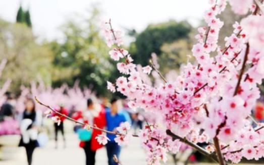 注意！未來3個月是過敏性結(jié)膜炎高發(fā)期