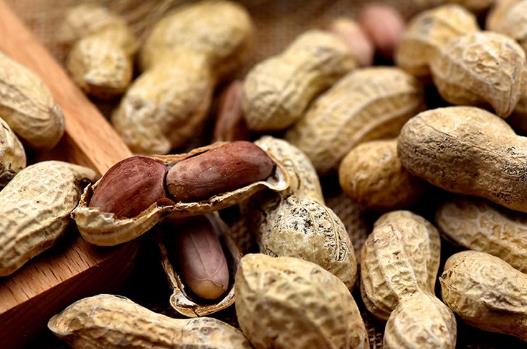 常吃花生能長(zhǎng)壽 但4類人吃是“火上澆油”