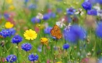 春季臉部皮膚過敏 應(yīng)對過敏最有效的方法