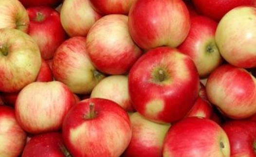 蘋果帶皮吃的作用 清洗果蠟最安全的方法