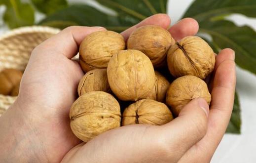 被譽為堅果之王的核桃 挑選和儲存核桃的小技巧