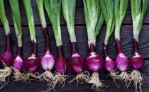 洋蔥有益于心臟并可調節血糖 減少患癌風險