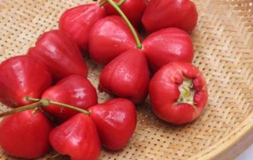 蓮霧熱量低營養豐富且能降血壓