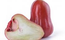 蓮霧熱量低營養豐富 天然的解熱劑