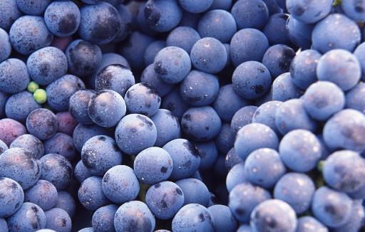 葡萄長時間保存有訣竅