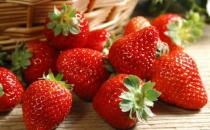 ?食物保鮮 遠遠不只把它們放進冰箱那么簡單哦