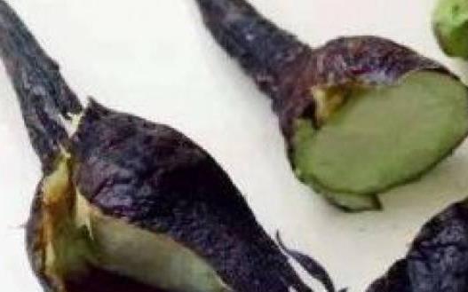 茄子不但營養好 其果實茄蒂和茄子根都可藥用