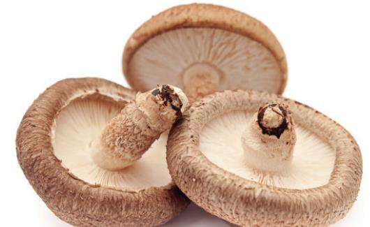 素有植物皇后之譽的香菇 香菇營養價值及做法