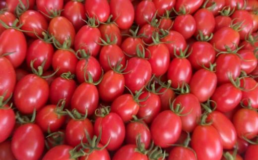 圣女果的營養價值與功效