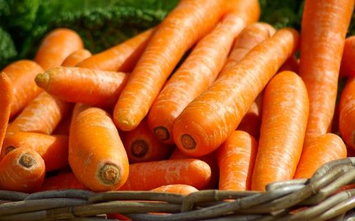 獲取營養素提高免疫力,有效對抗流感!