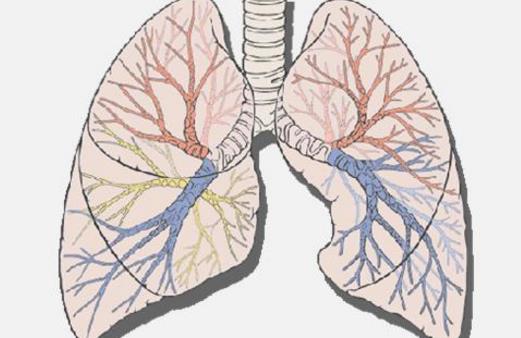 長(zhǎng)壽還是短命來(lái)看這9大特征 有3個(gè)以上多半是長(zhǎng)命人