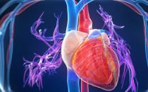 人各部位衰老時間段不一 學會針對不同器官進行保養