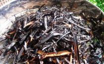 施草木灰對養花的好處 正確使用草木灰的竅門