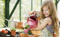 ?澆水不當(dāng)是花卉死亡的主要原因 養(yǎng)花要從學(xué)澆水開始