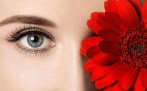 眼部疲勞干澀 電腦族眼部保養緩解干澀有妙方