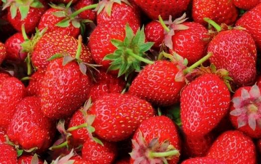 一天一蘋果醫生遠離我 水果營養價值排名