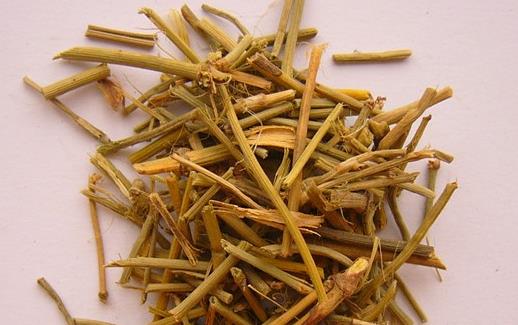 麻黃的功效與作用 美食力量舌尖上的中藥美味文化