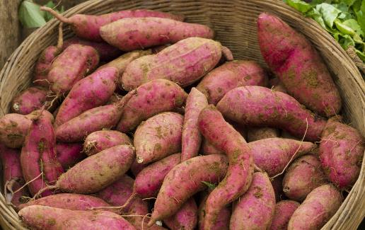 恢復(fù)免疫力超強(qiáng)的食物 增強(qiáng)免疫力必吃 　