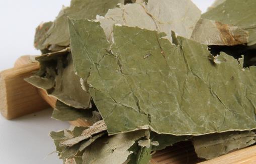 最適合春季喝的養生茶 養身體預防疾病