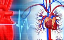 最佳血管養(yǎng)護(hù)時(shí)間表 養(yǎng)好血管健康更長(zhǎng)壽