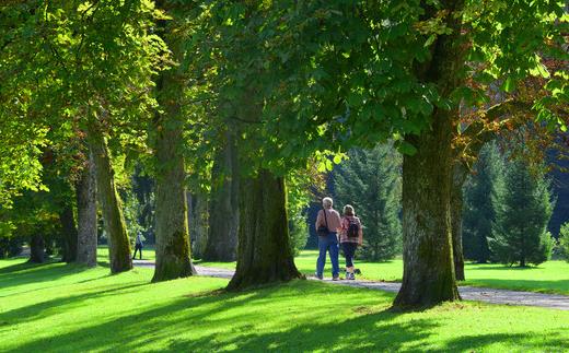 不適合高血壓患者的動作 高血壓自我調理運動方