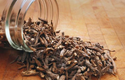 蒲公英的“根”能泡水喝嗎?有哪些功效?