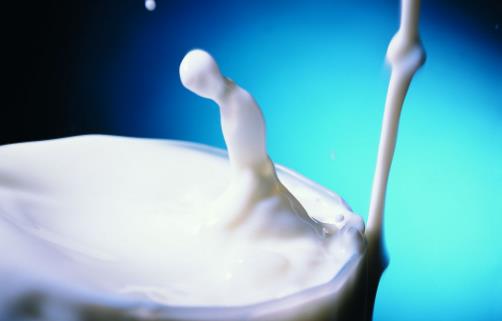 老人補鈣常吃的食物推薦 注意補鈣過度也有危害