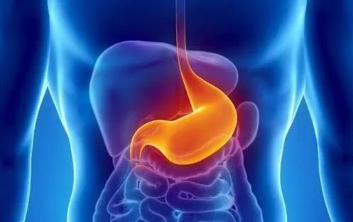 身體器官有哪些弱點?一一揭秘6大器官的弱點