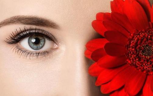 身體器官有哪些弱點?一一揭秘6大器官的弱點