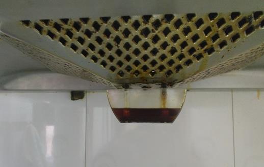 油煙機的廢油也是養花好肥料 好用的養花竅門盤點