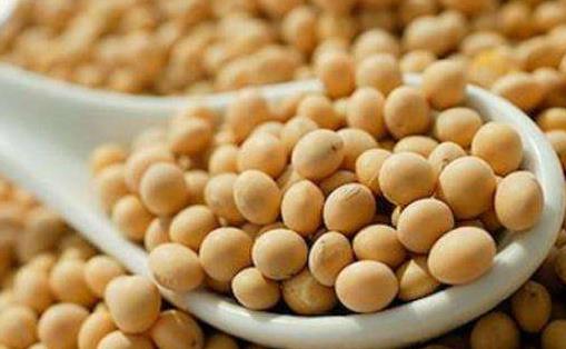 合理的飲食方法能達(dá)到減肥目的  能減肥的蔬菜