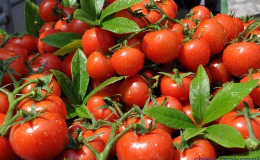 男性備孕 可以提高精子質量的食物