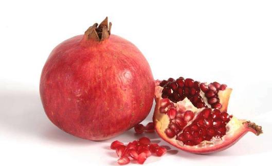 男性備孕 可以提高精子質量的食物