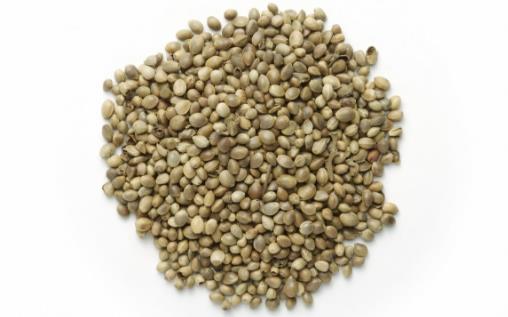 長壽的7個(gè)飲食小秘訣 能幫你延年益壽