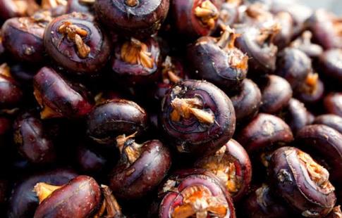 荸薺有什么營養價值?什么人不能吃荸薺