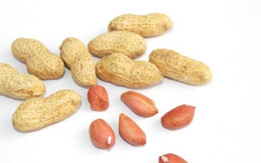 最佳補(bǔ)腦的食物 主食補(bǔ)腦最有效