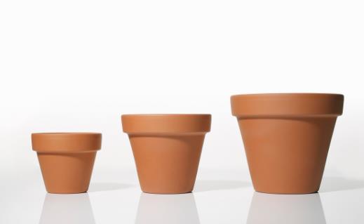 養花時花盆大小和深淺的選擇 教你在養花路上少走彎