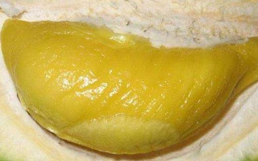 榴蓮的補養和保健作用 榴蓮做菜也可以