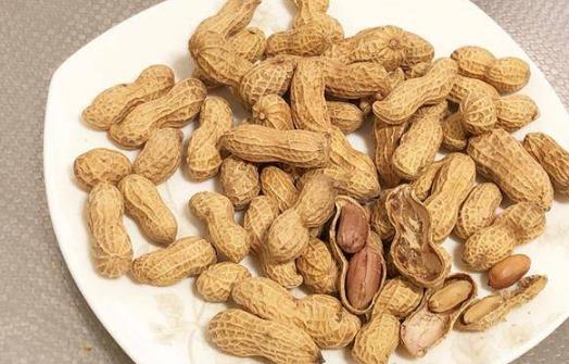 旅途中的食品安全問題