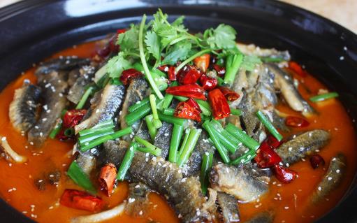 芒種時節吃泥鰍能頂人參?不管好壞,這幾類人都要離遠一