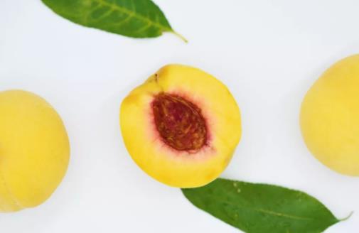 “果中皇后”營養又美味,還能降壓抗疲勞