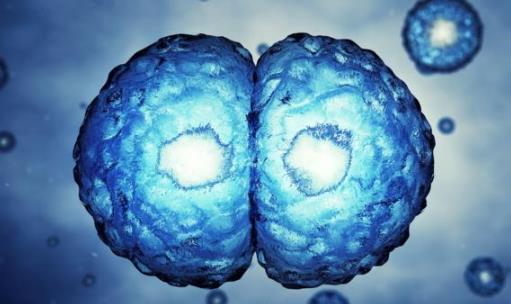 平時不痛不癢，一查癌癥就是晚期？醫生奉勸：7類人需定期