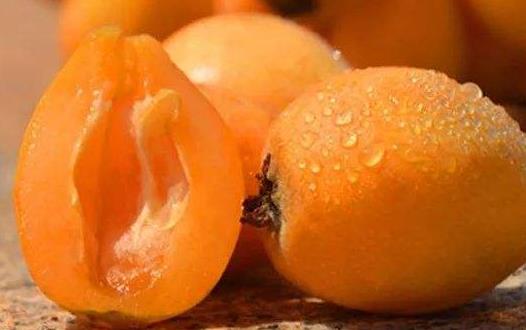 夏天的當令水果枇杷 中藥師推薦枇杷的吃法