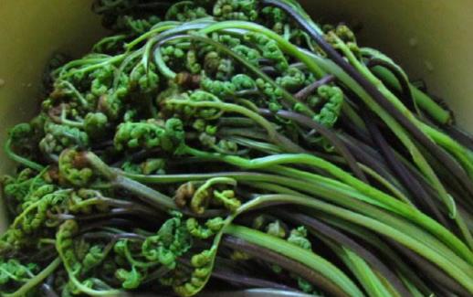 野菜的錯誤認識 過量食用或許反而危害健康